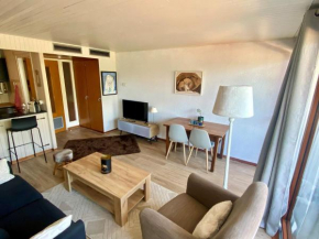 Studio Châtel, 1 pièce, 4 personnes - FR-1-198-242